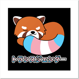 Cute Red Panda Transgender Pride Posters and Art